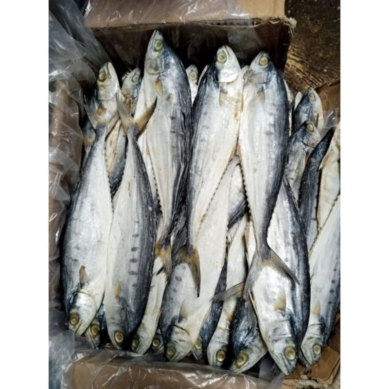 

Ikan asin Wais Jumbo 500gr/250gr/100gr