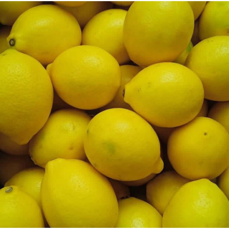 

lemon california grade premium 1 kg