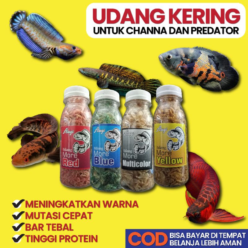 Asagi Udang More Red Blue Yellow 25g Color Carophyll Pakan Ikan Channa Cana Predator Pbass Pulchra M