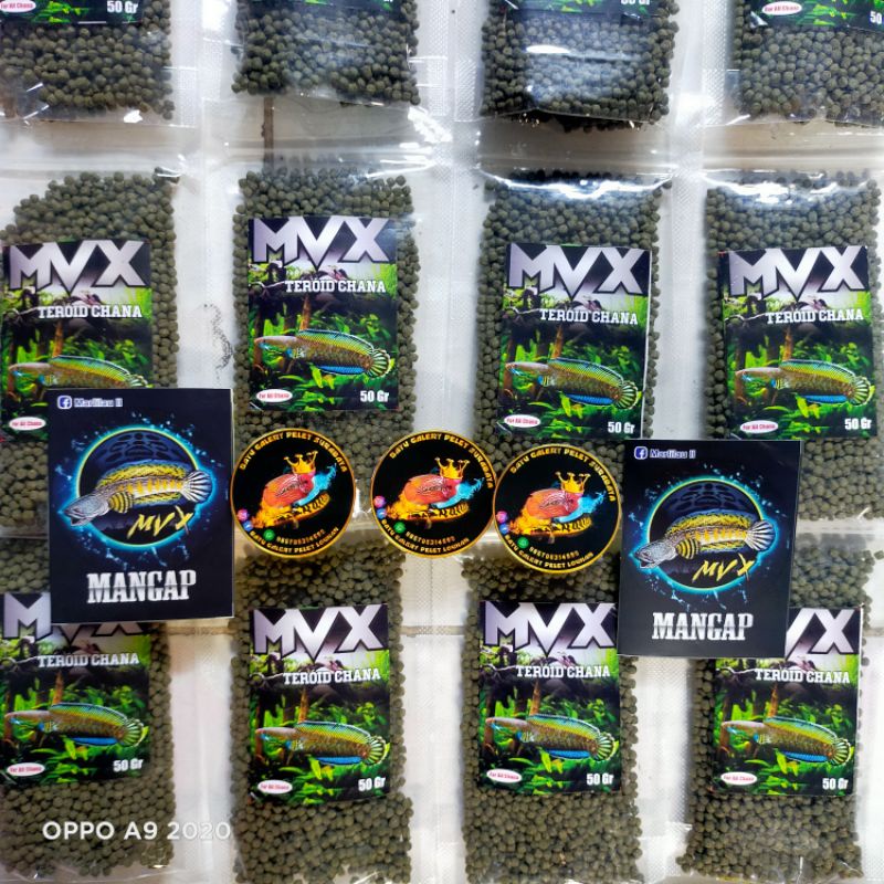 Pelet MVX Teroid Pelet Teroid Chana Stewarti, Channa Maru Channa Auranti dan semua jenis Channa Orig
