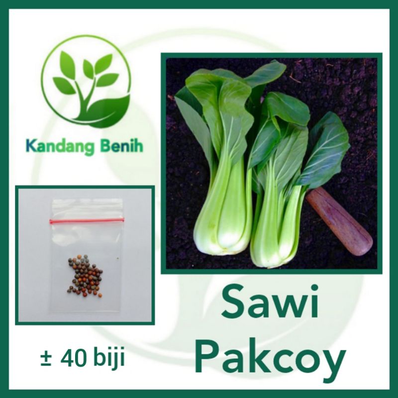 Jual 40 Biji Benih Sawi Pakcoy Nauli F1 Sayuran Unggul Pakchoy