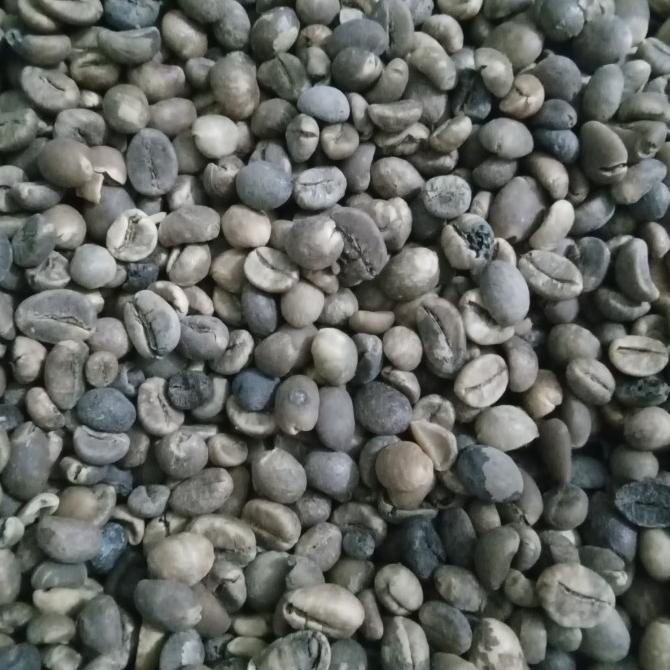 

Biji Kopi Lampung Mentah Free Bubble Wrap