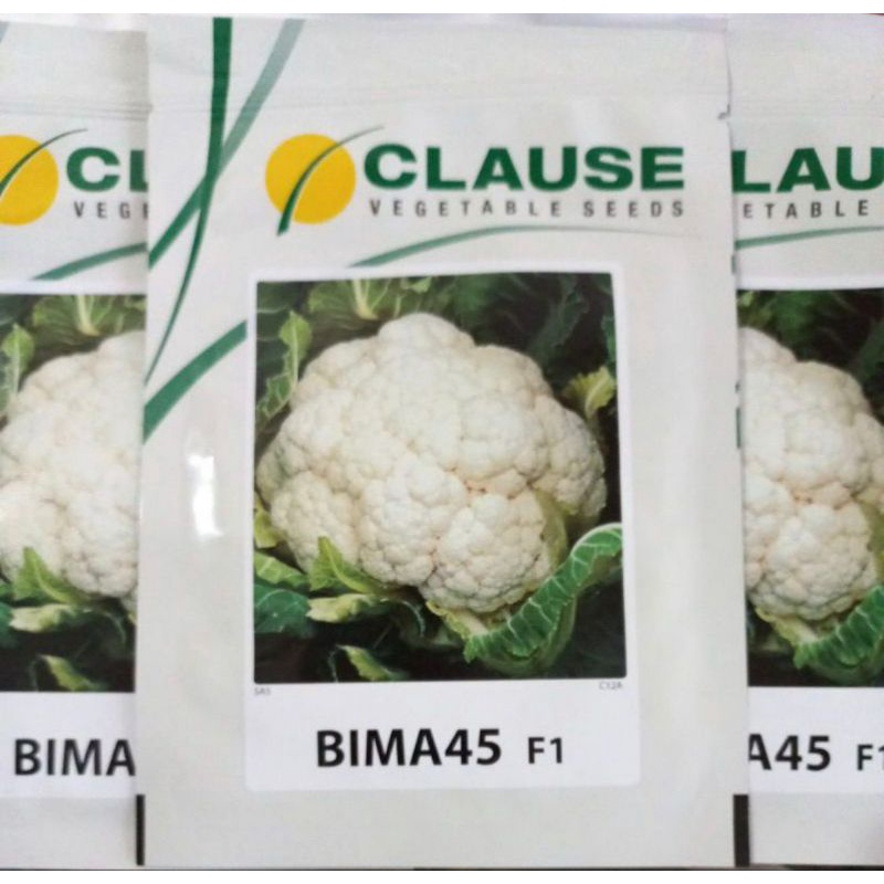 Benih Kembang Kol BIMA 45 F1 10Gr
