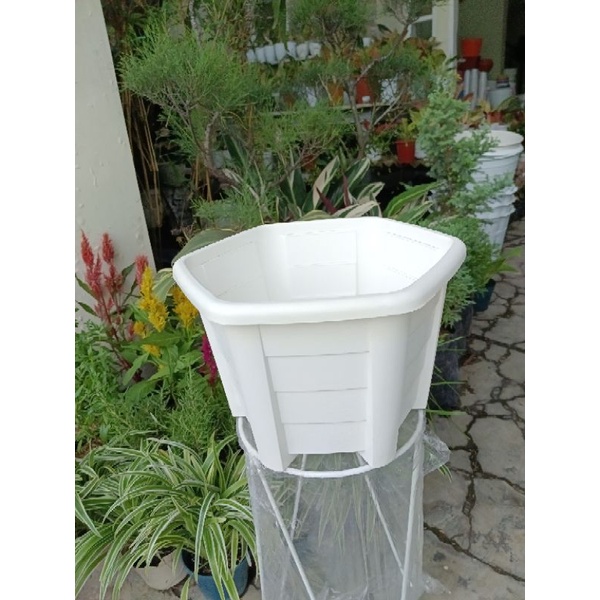 Pot plastik Camelia merk Lucky star  - Pot bunga/tanaman hias segi enam diameter 24cm tebal kokoh