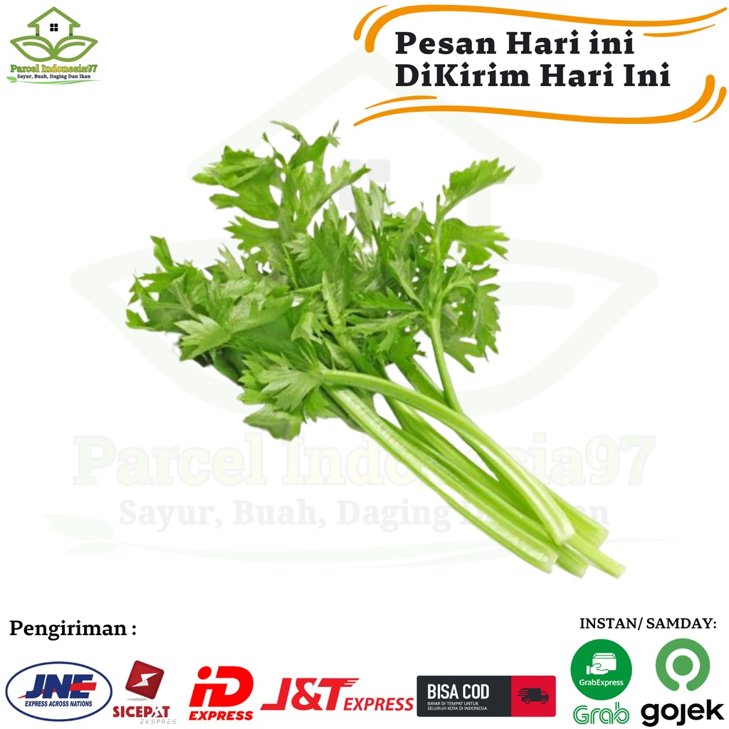 

Seledri segar 50gr pasar murah