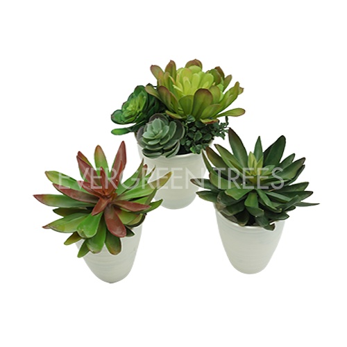 BUNGA PALSU/ BUNGA HIAS/ BUNGA BROMELIAD/ BUNGA ARTIFICIAL/ LG BROMELIAD