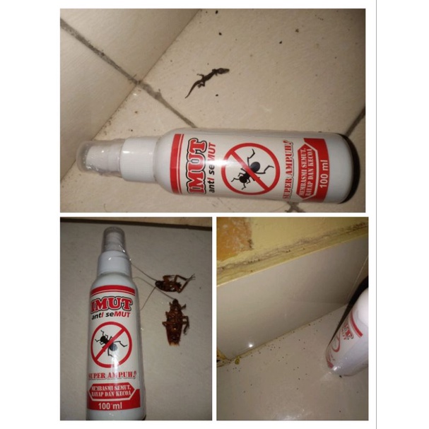 Imut, Anti Semut, Racun Semut, kecoa, lalat, dan rayap lainnya