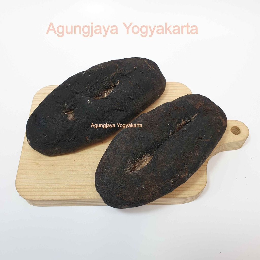 

Teripang Koro Hitam / Teripang Susu / Hai Som / Haisom ( export Quality )