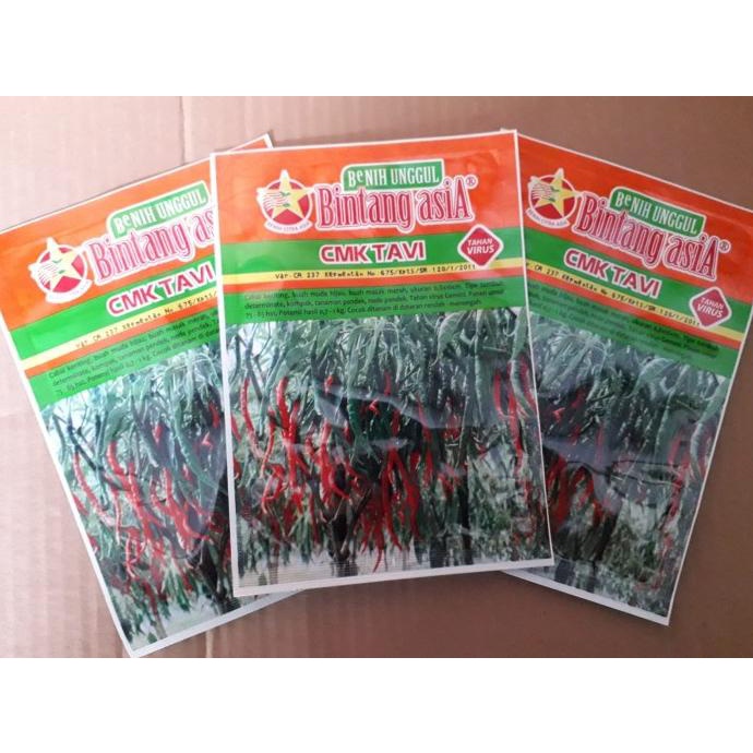 Benih Bibit Cabai Keriting CMK Tavi 10 gr Bintang Asia