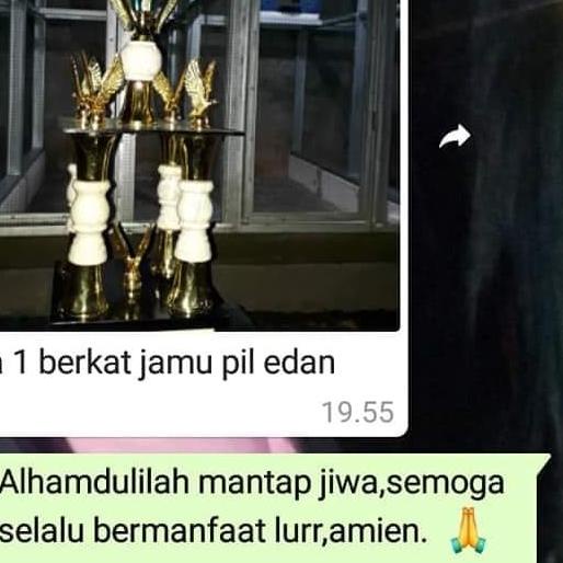 Pil edan pil edan merpati merpati edan jamu burung merpati
