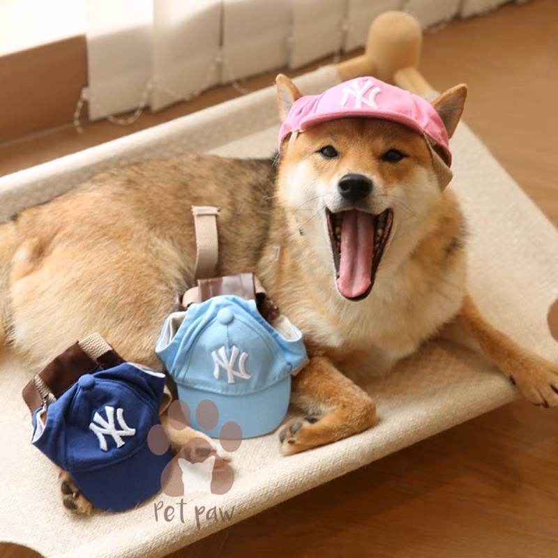 Anjing Kucing Aksesoris Topi Baseball untuk Anjing dan Kucing Aksesoris Hewan Peliharaan Import Akse