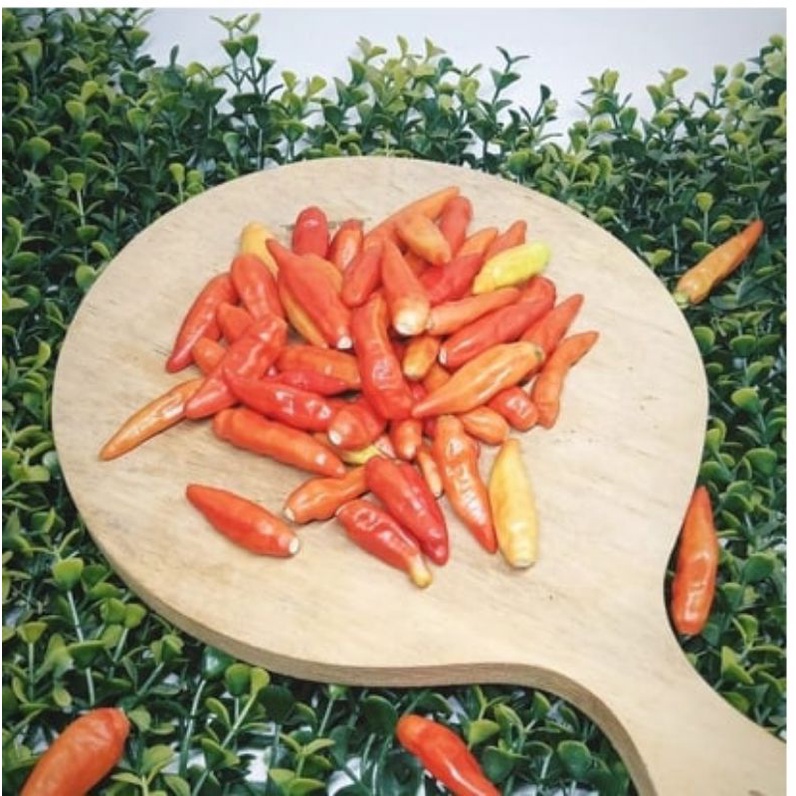 

Cabe Rawit Merah Petik [250 Gram]