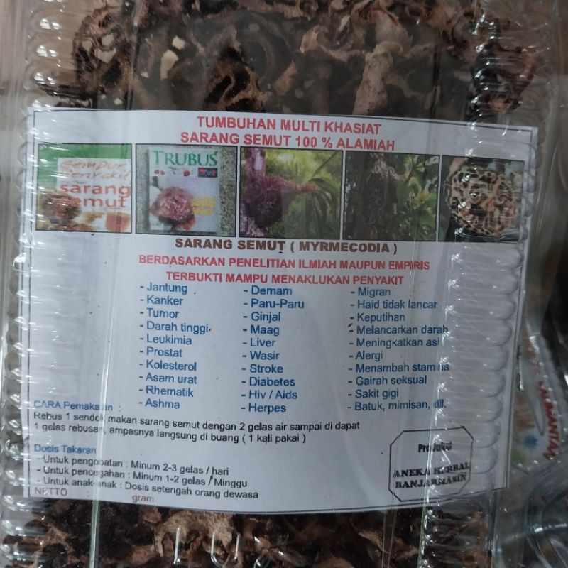 Jual SARANG SEMUT TUMBUHAN MULTI KHASIAT 100% ALAMIAH | Shopee Indonesia