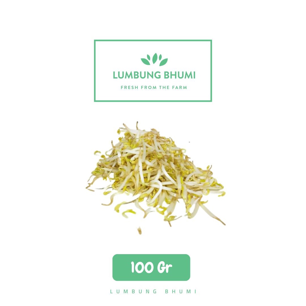 

Lumbung Bhumi - Toge / Tauge Kecil 100 Gr ( Sayur Curah )