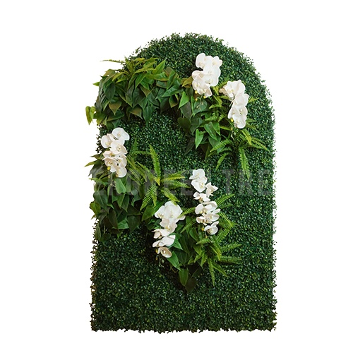 TANAMAN DINDING/ RUMPUT HIAS/ VERTICAL WALL/ KARPET/ VERTICAL WALL BOX