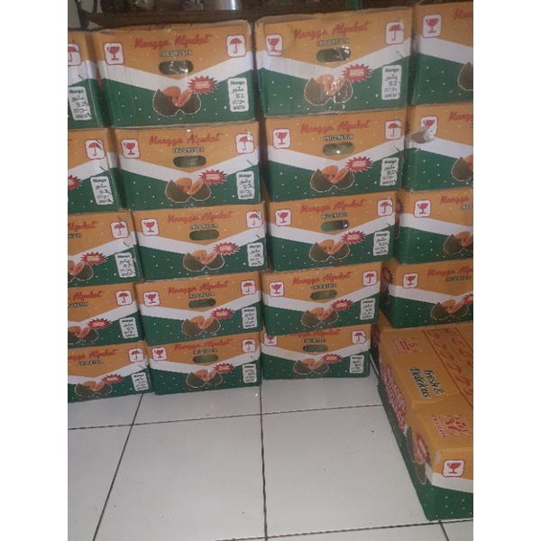 

Mangga alpukat tua dipohon