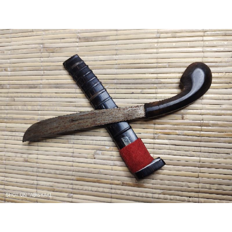 gocil original ciomas