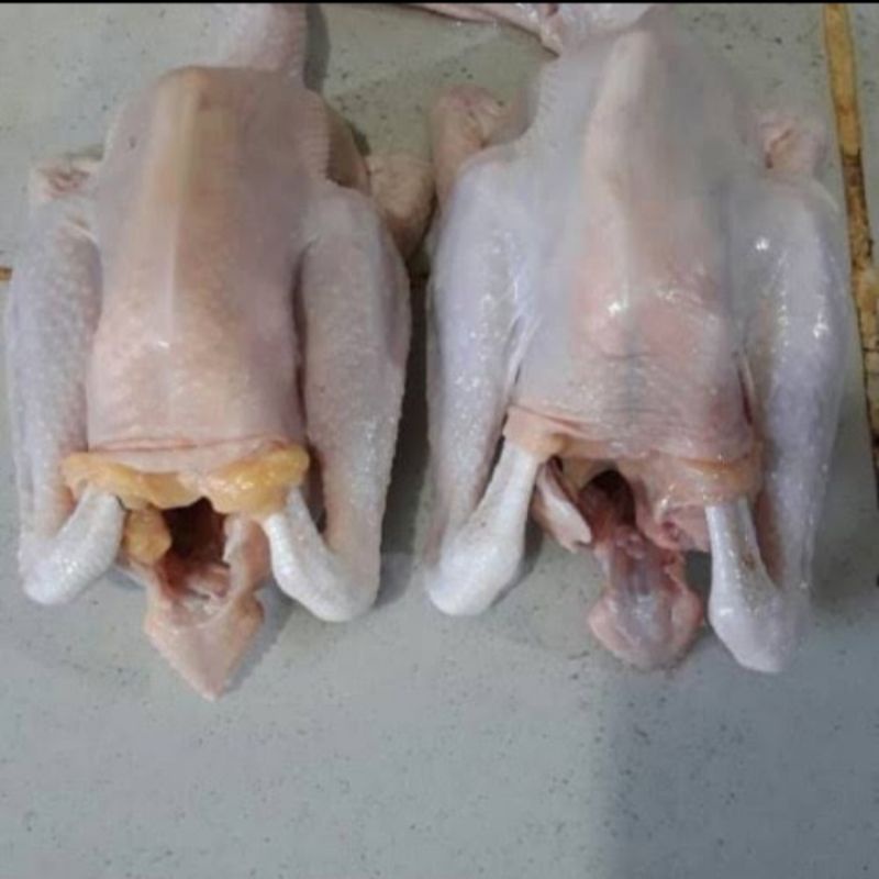 

AYAM KAMPUNG, Ayam kampunģ, AYAM KAMPUNG BERSIH SEGAR HALAL 1KG