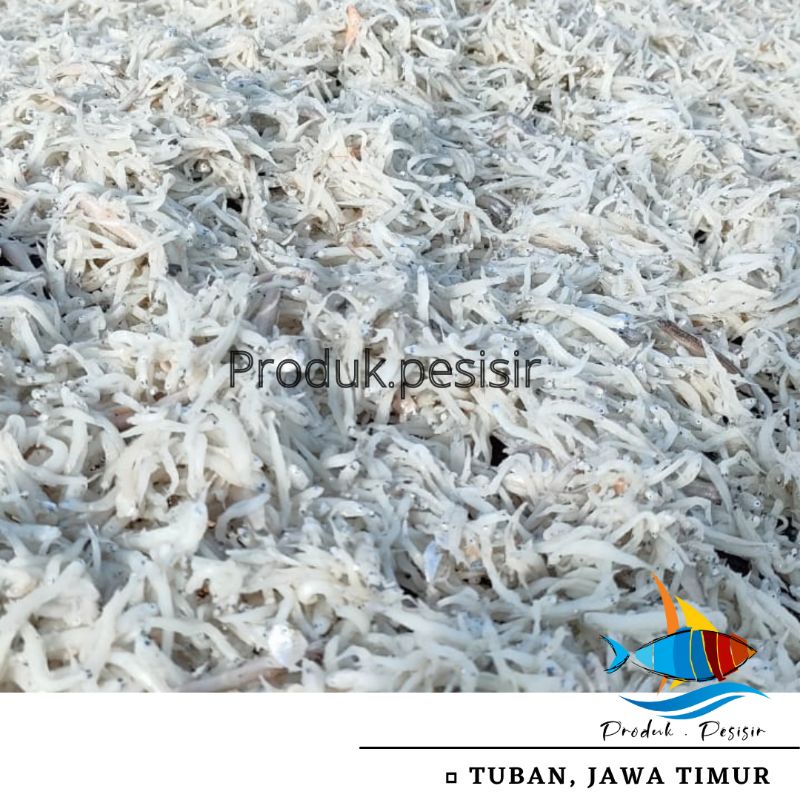 

Teri Nasi Asin size kecil/Teri Medan Super 1 kg