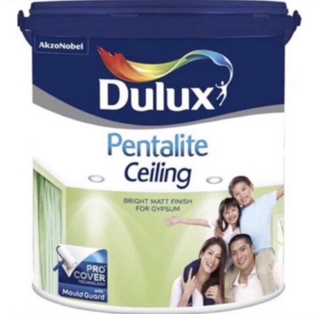 Cat Dulux Pentalite Ceiling White Supermatt 25kg Cat Plafon / Khusus Cargo