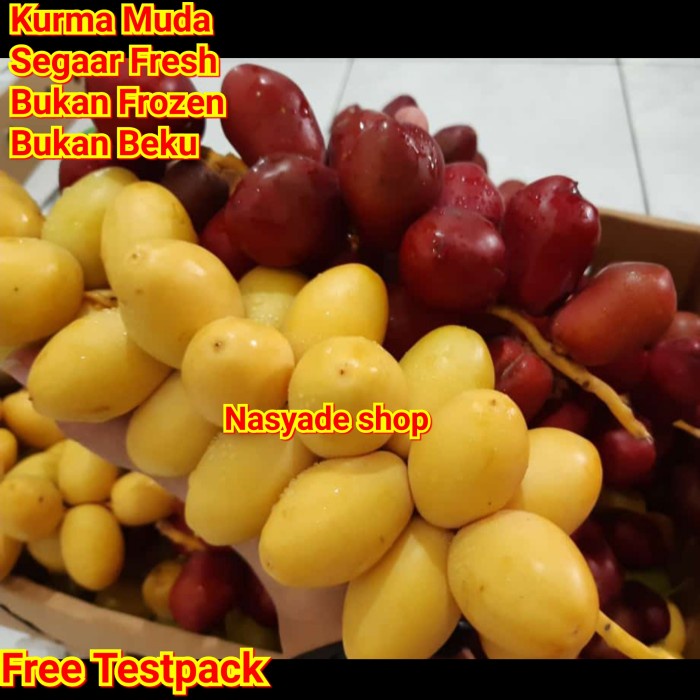 

Kurma muda segar fresh bukan beku bukan frozen 1 kg
