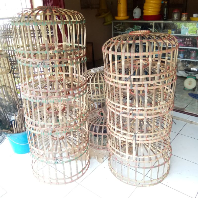 Dongdang jemur merpati