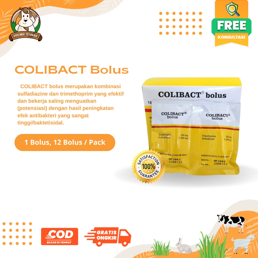 COLIBACT BOLUS 1 BOX ISI 12 BOLUS - Obat Antibakteri Hewan Ternak Diare Pencernaan