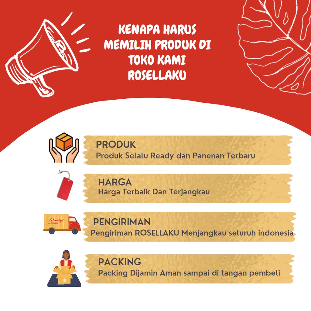 BUNGA TELANG ORGANIK 1 Kg/Teh Bunga Telang Kering/Teh Biru/ Butterfly Pea / Obat Asma