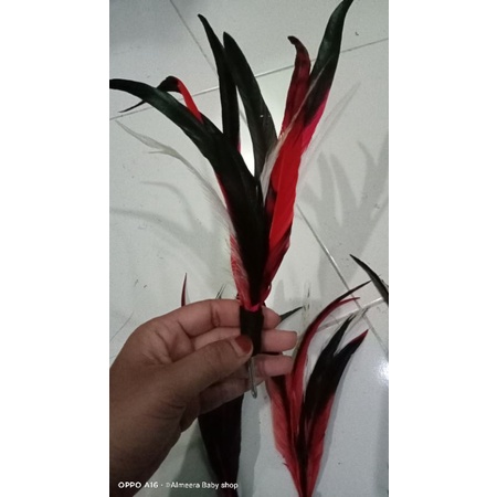 aksesoris marching band model lidi/ aksesoris kepala/ aksesoris bulu/ hiasan kepala
