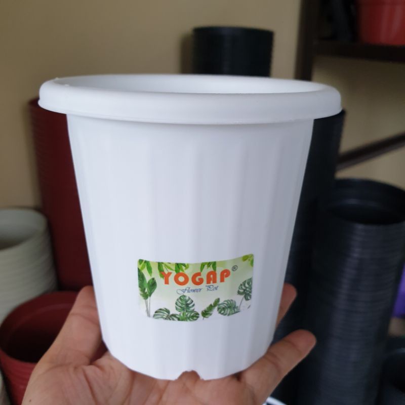 Pot Yogap 10 Original Yogap