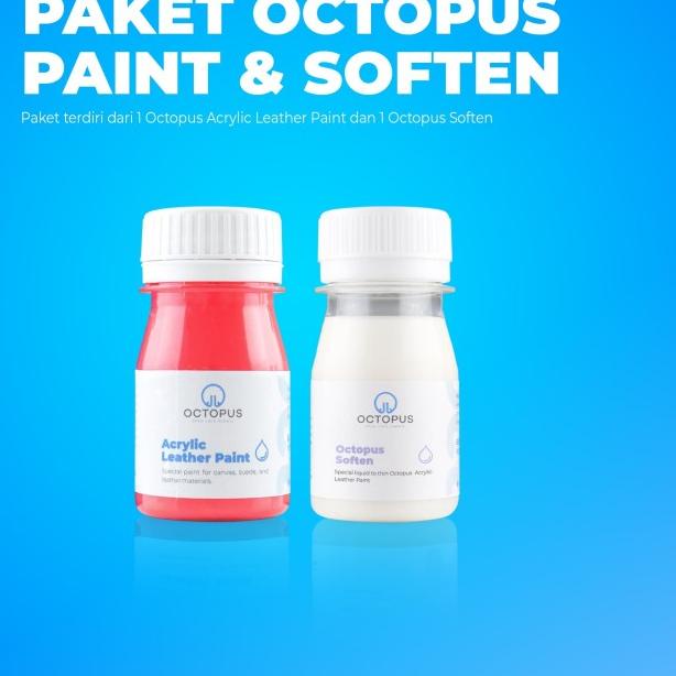 Cat sepatu canvas dan suede / not angelus suede dye