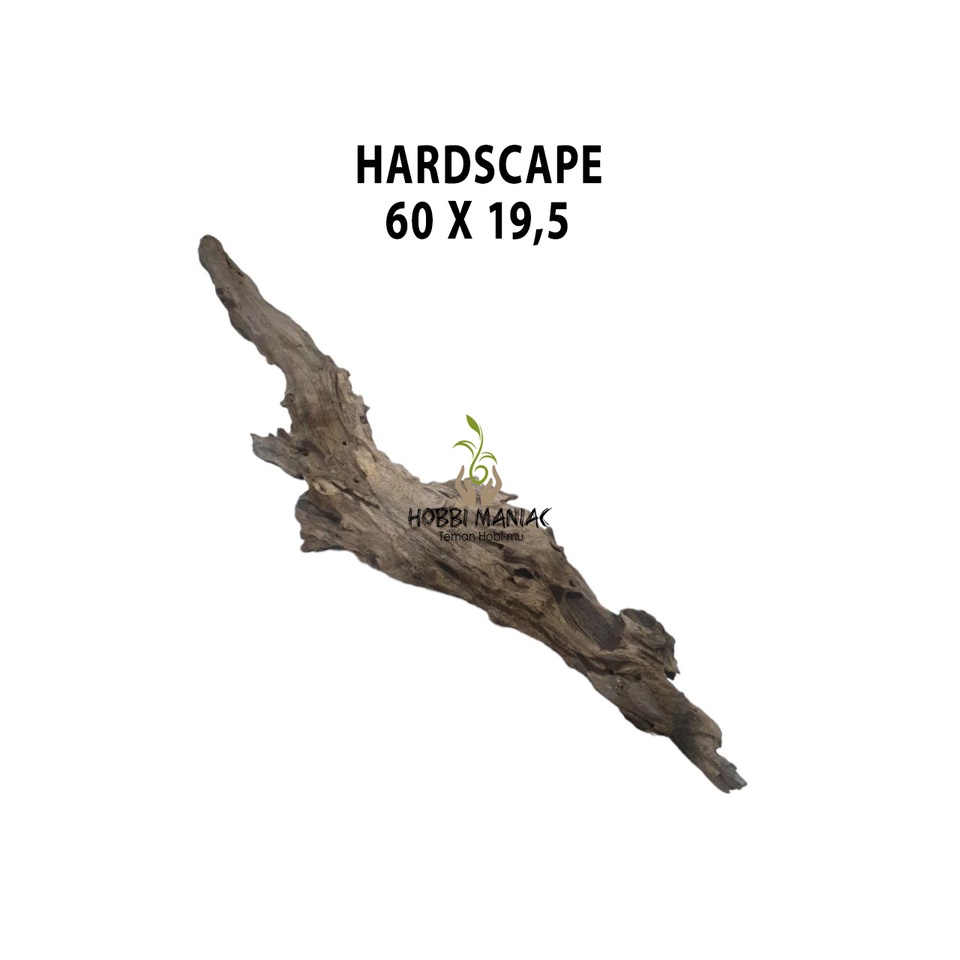 Hardscape Kayu Aquascape Aquarium 60X19,5 CM