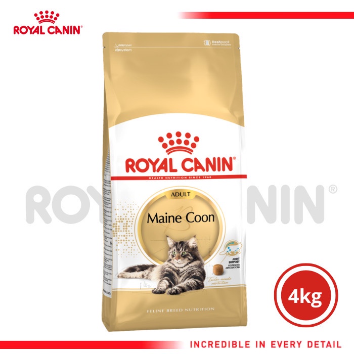 Royal Canin Maine Coon Adult 4kg Makanan Kucing Dewasa
