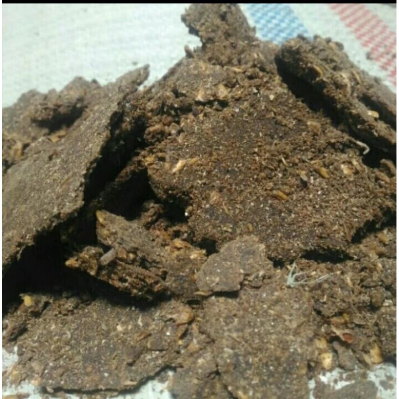 ampas kecap pakan ternak