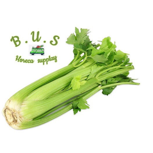 

Celery Stick 1 Kg B.U.S