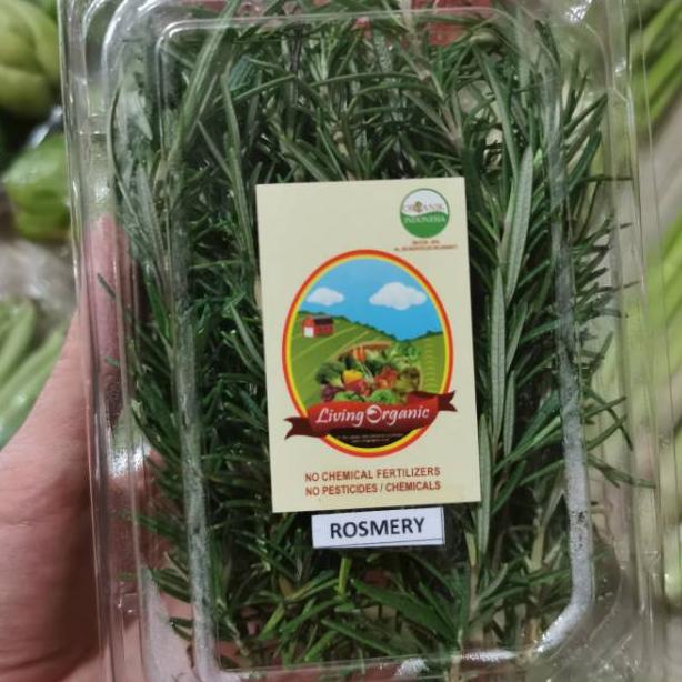 

ㅀ ORGANIK Fresh Rosemary Organik Segar || 40-50gram || Rosemary Organic segar Italian Herb Veggies TERBARU 2490 ❁