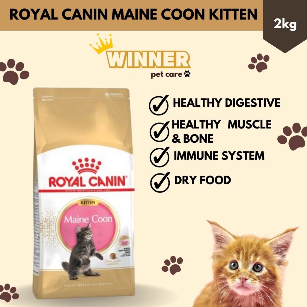 Royal Canin Maine Coon Kitten Cat Food Freshpack 2kg