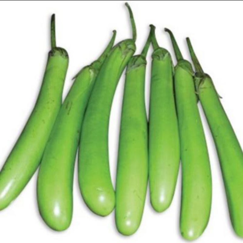 

Garansi.. Terong hijau ( 250g - 1000g )