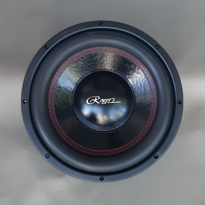 Subwoofer 12" 12in 12 " in ROGER ROGERS ROGER'S SW-12 SX SW 12SX 12 SX