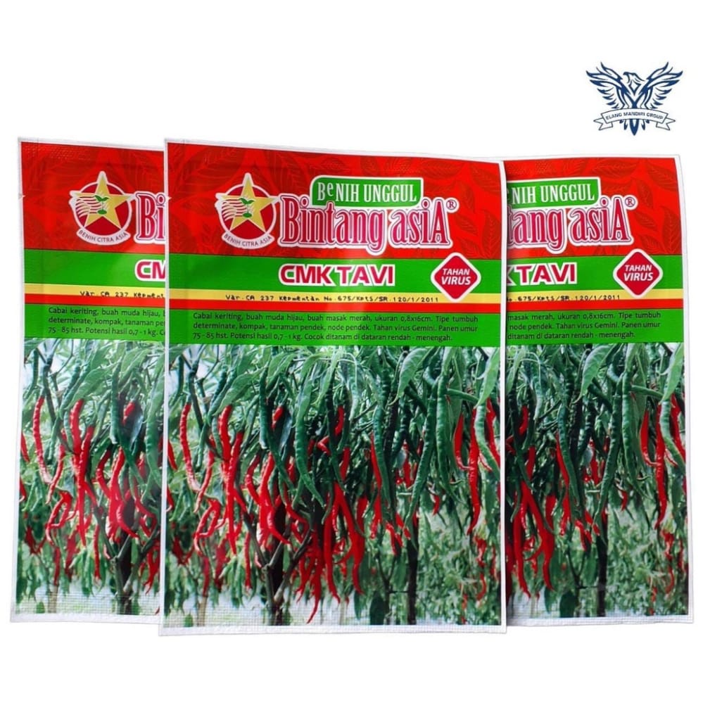 Benih Bibit Cabai Keriting Cmk Tavi 10gr Bintang Asia