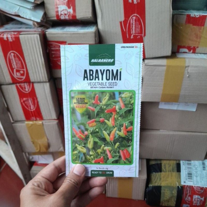 Benih cabai rawit abayomi 10 gr