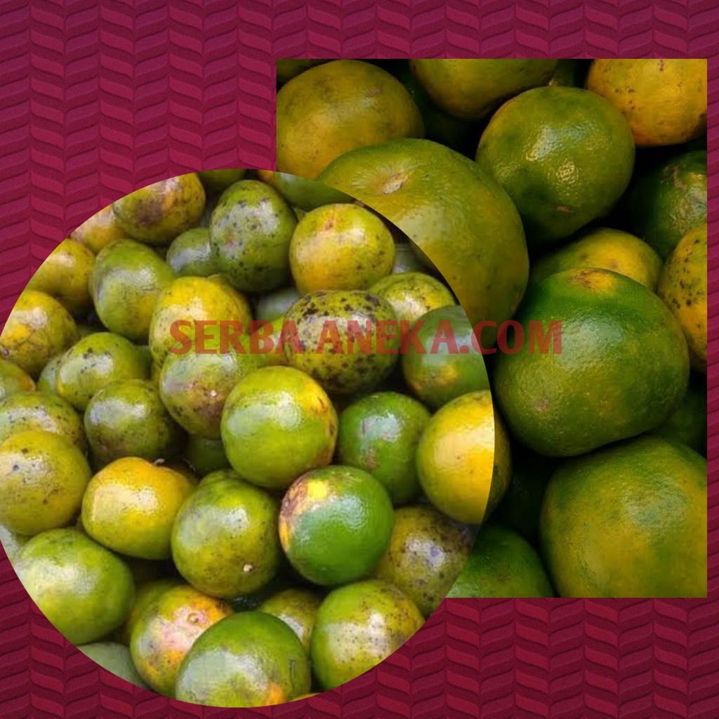 

( 1 Kg ) Jeruk King bali hijau semu kuning segar manis