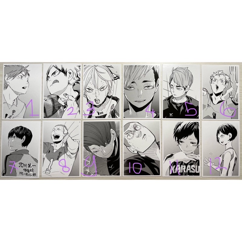 [OFFICIAL MERCH] HAIKYU 10th CHRONICLE CARD - Haikyuu