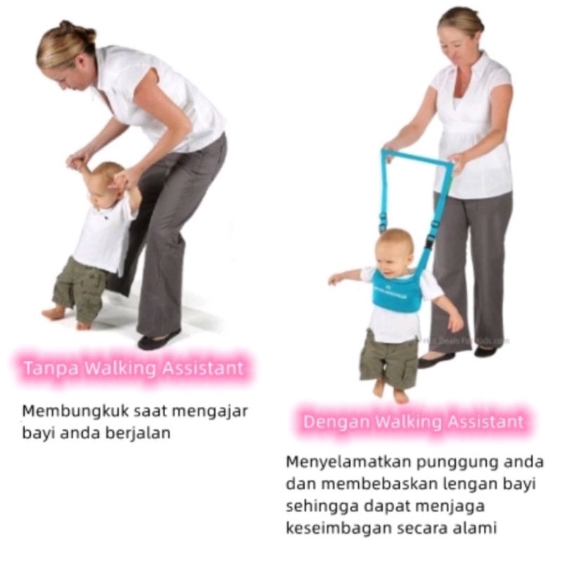 ALAT BANTU JALAN BAYI BABY WALKING ASSISTANT