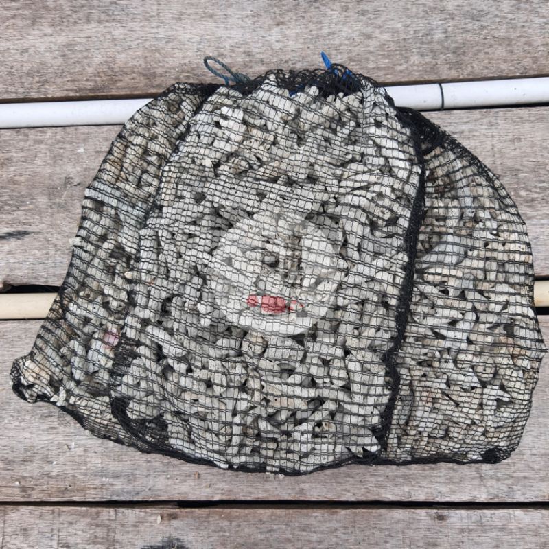 Karang Jahe Kemasan 3kg Media Filter Kolam Koi PH Buffer