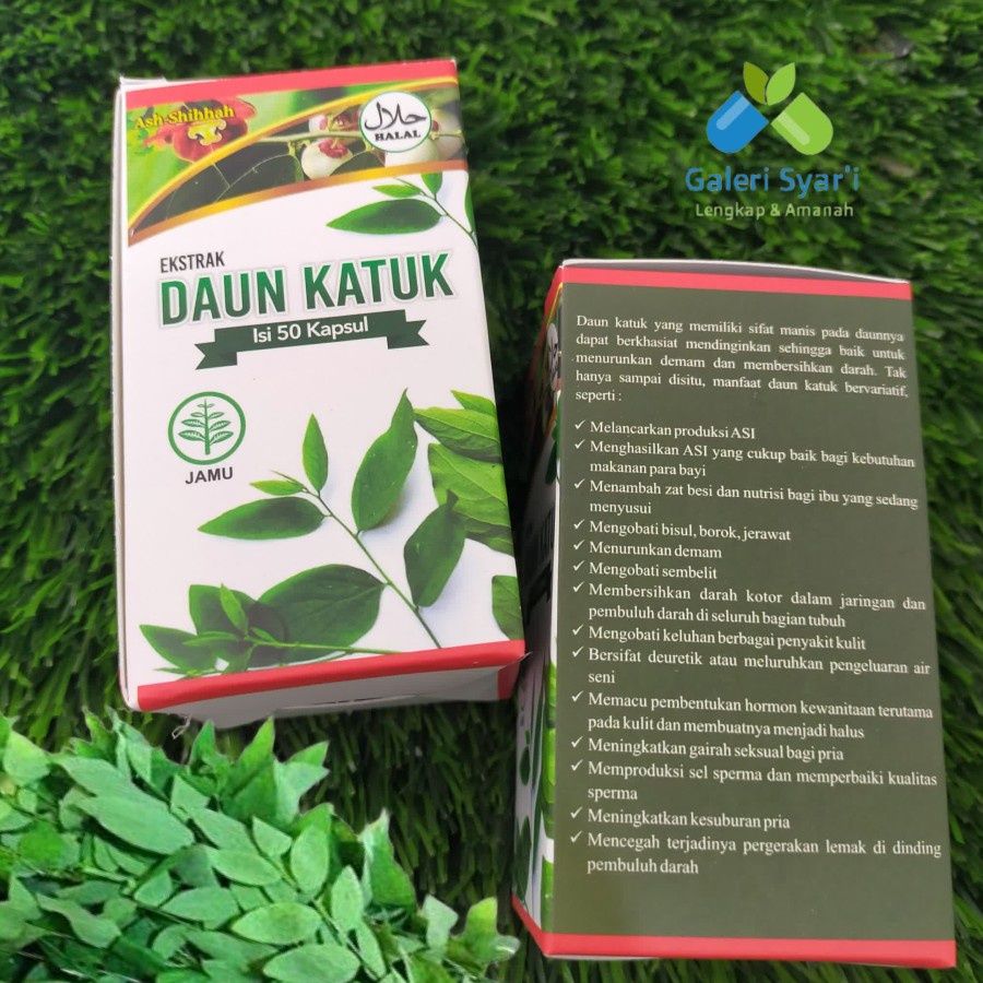 promo kapsul daun katuk pelancar asi Ash Shihhah Original untuk menurunkan demam dan membersihkan da