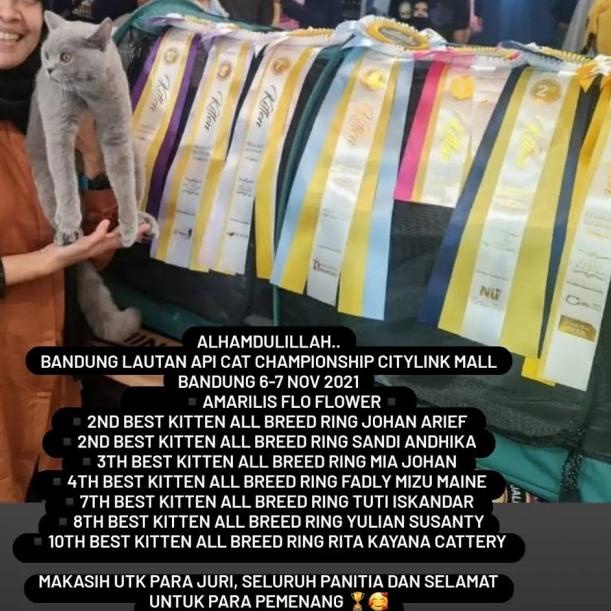 CAT RAW FOOD PUYUH GILING