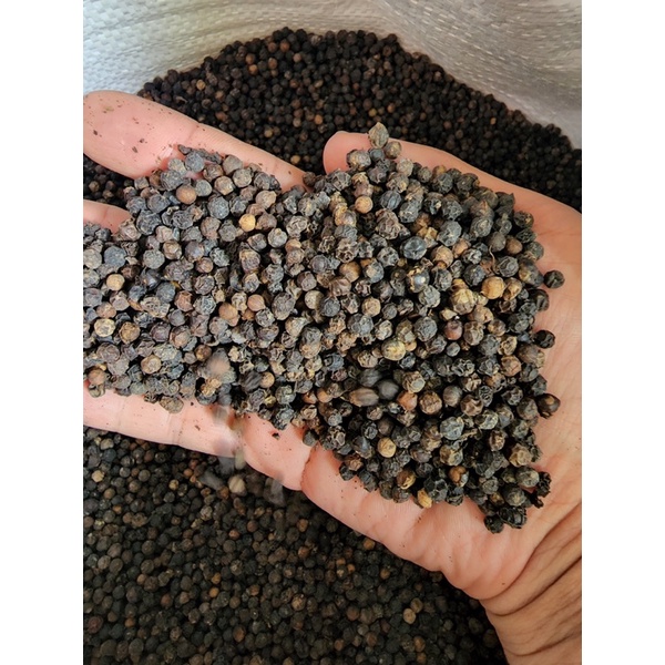 Biji lada hitam super 1kg / Lada hitam biji 1kg / lada hitam