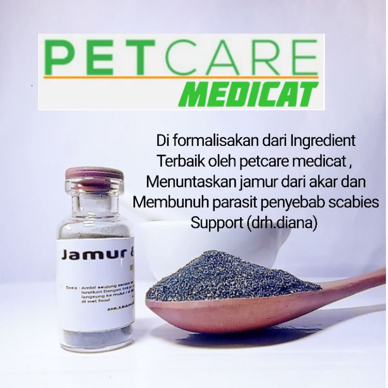 Obat Jamur kucing ampuh obat scabies kucing ampuh obat jamur scabies kucing ampuh obat jamur kucing terampuh obat jamur scabies kucing terampuh obat jamur kucing parah obat scabies parah