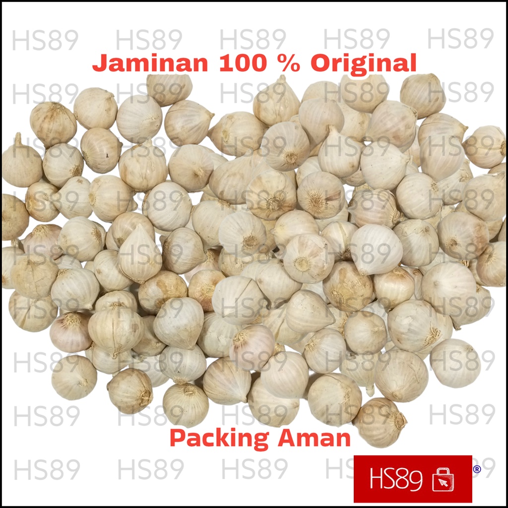 

Bawang Putih Tunggal Lanang 100Gram Super